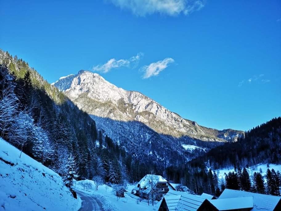 Mala Hisa Διαμέρισμα Solčava Εξωτερικό φωτογραφία
